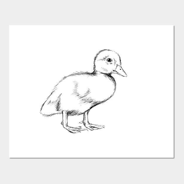  Cute Duckling Illustration - Duckling - Posters and Art Prints TeePublic